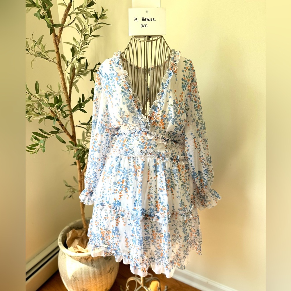 Deep V Neck Ruffle Long Sleeve Floral print Dress
